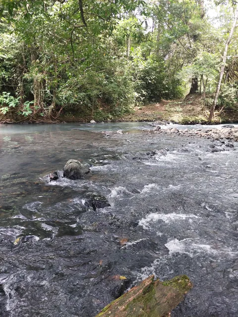 Cabañas Rio Celeste