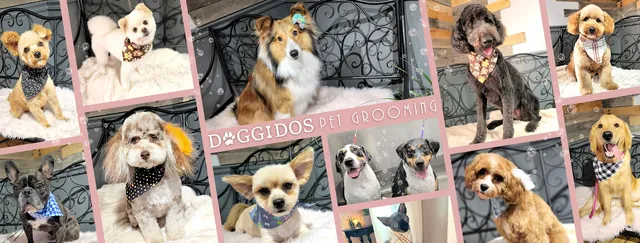 Doggidos