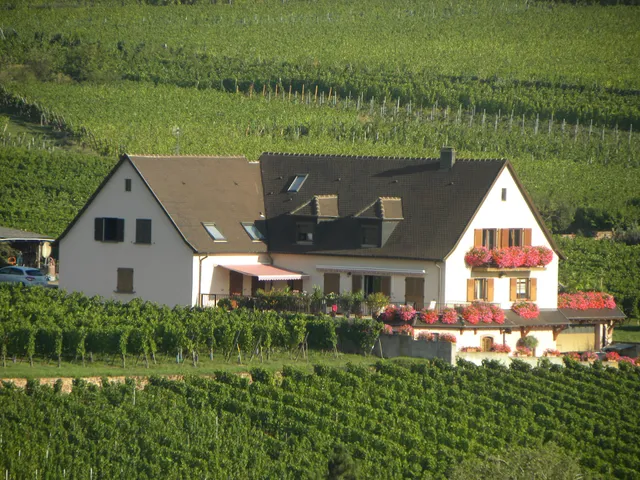 Maison FUX A. Chambres D'Hôtes "LES GERANIUMS"