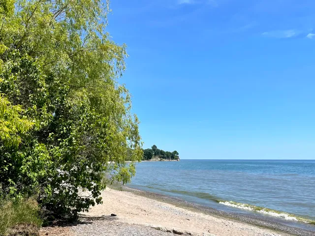 Pumphouse Marsh Wildlife Reserve