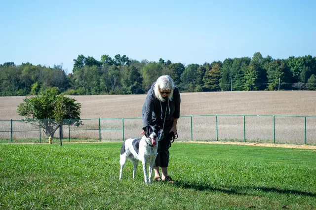 Yellow Springs Dog Park