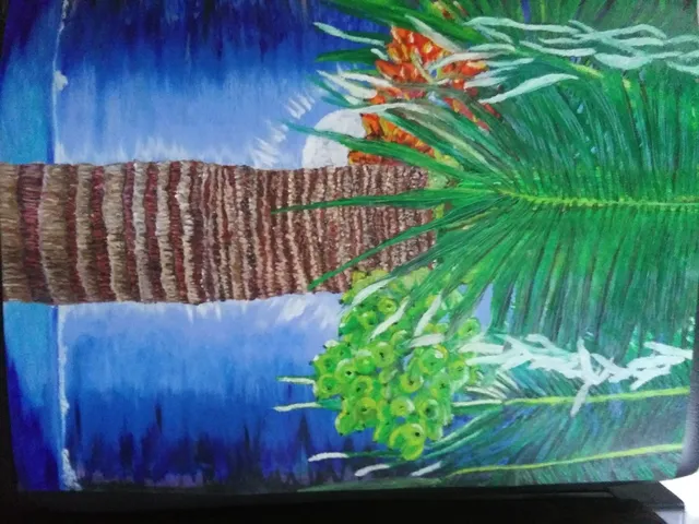 Virgin Islands Council on the Arts