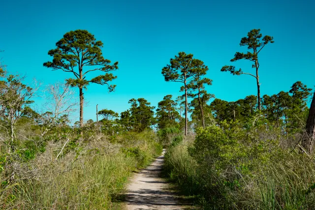 Florida Trail Northern Terminus