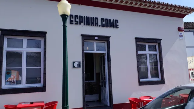 ESPINHA.COME
