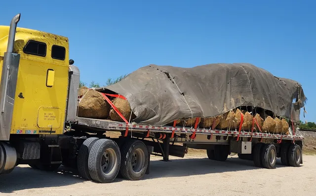 Eagle Mountain Tree Farm