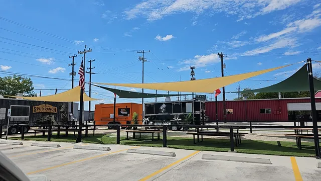 Screamin’ Chameleon