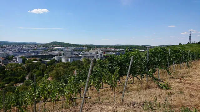 Aussichtspunkt Burgholzhof