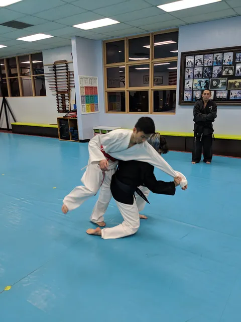 Kim’s Hapkido
