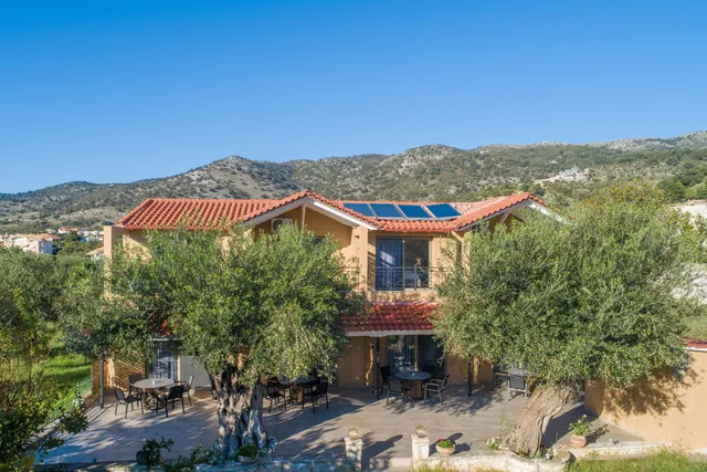 Olive Garden by Eutopia Living