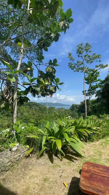 Svastha | Yoga & Ayurveda Café