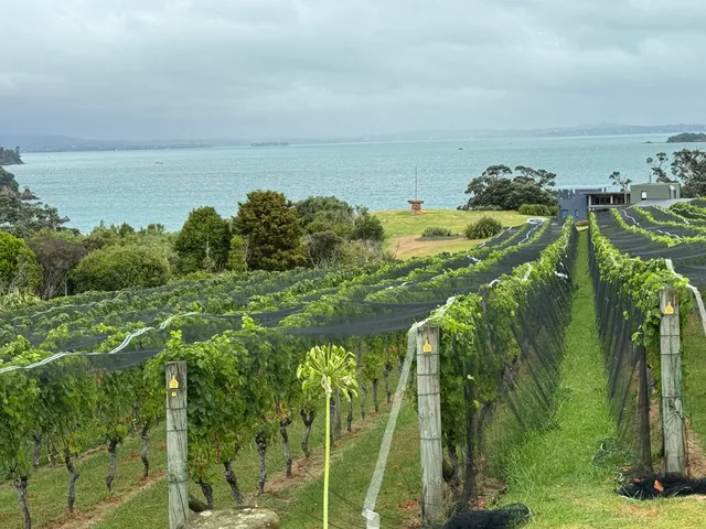 Waivino Tours Limited