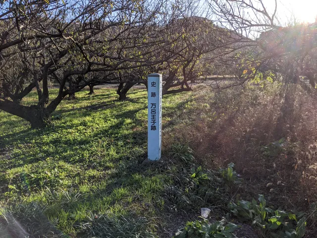 Maro-Oji Remains (Kumano-Kodo 99th Oji)