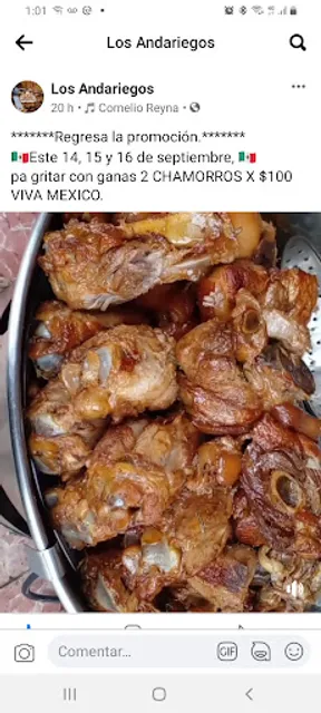 LOS ANDARIEGOS Carnitas & chamorros