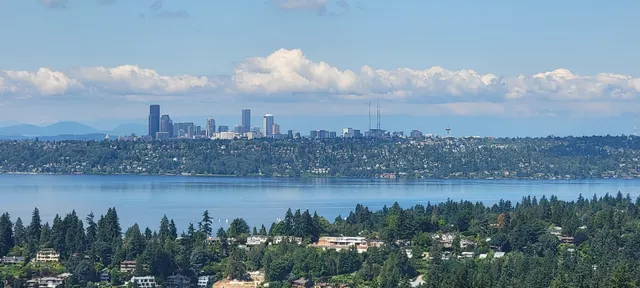 The Pokémon Company International