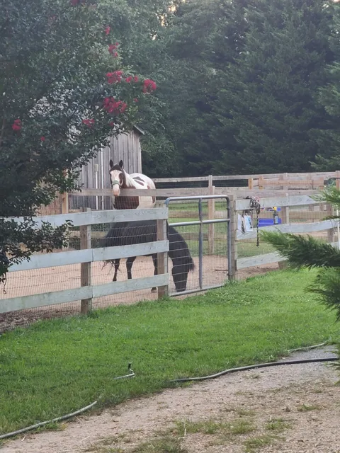 Dragonfly Acres Farm