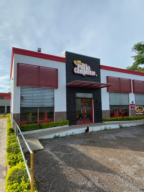 Pollo Campestre • El Divisadero