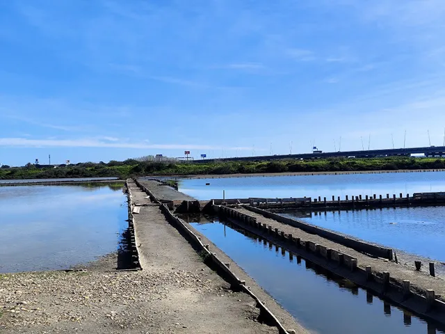 Salinas do Samouco, Fundação para protecção e Gestão Ambiental