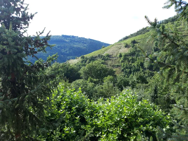 Hildegard und Erwin Endres