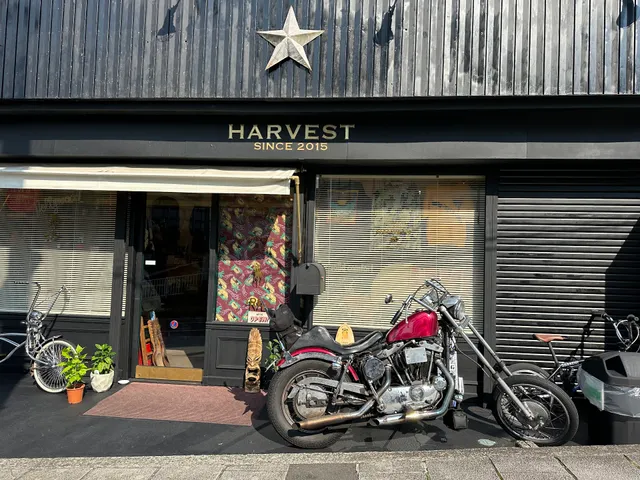 ＨＡＲＶＥＳＴ