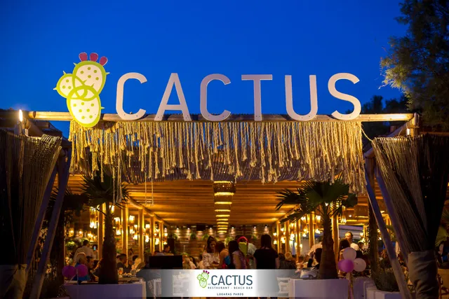 Cactus Beach Paros