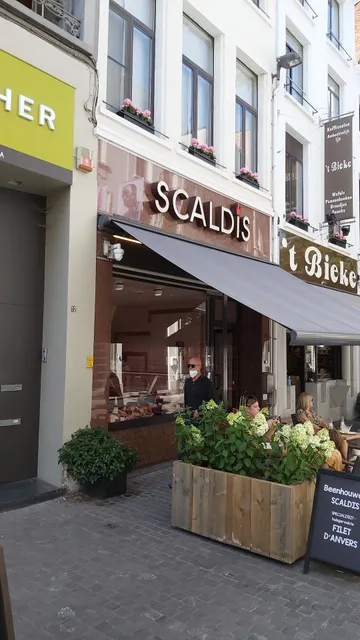 Scaldis