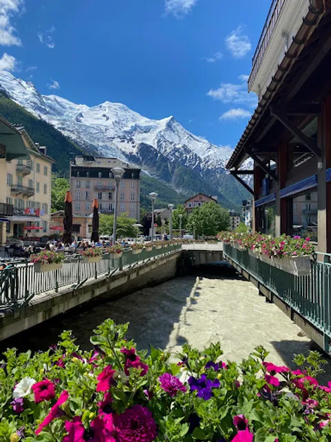 Point de vue Mont Blanc