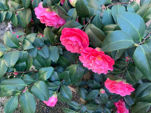 Modesto Junior College Art Gallery