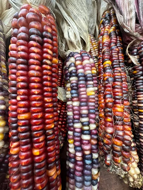 Doehling's Farm Market