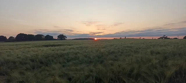 Lodge Farm Campsite (Camping and Caravaning Club)