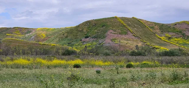 Marine Corps Base Camp Pendleton
