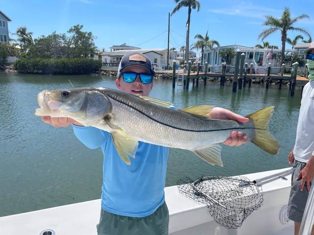 AMI Sportfishing Charters
