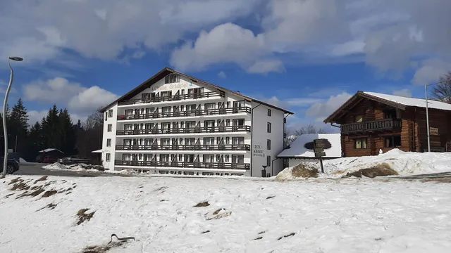 Ski slope - Cheile Gradistei