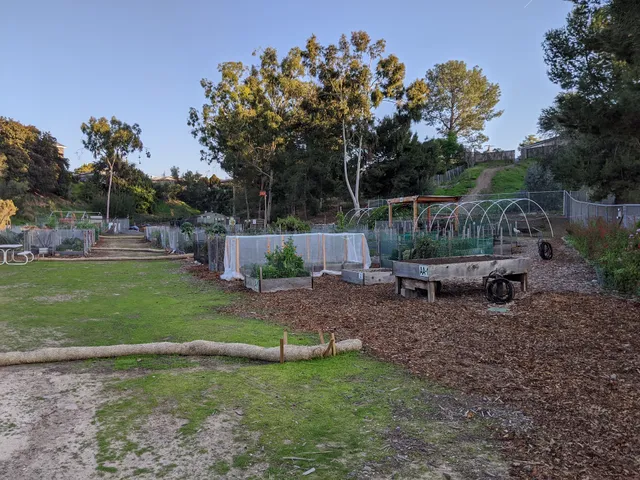 College Area Community Garden