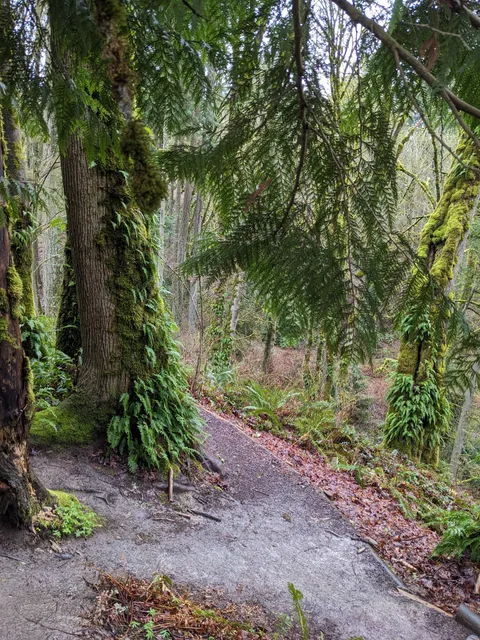 King County Dirt Trailhead