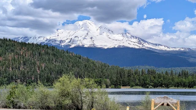 Lake Siskiyou View Point
