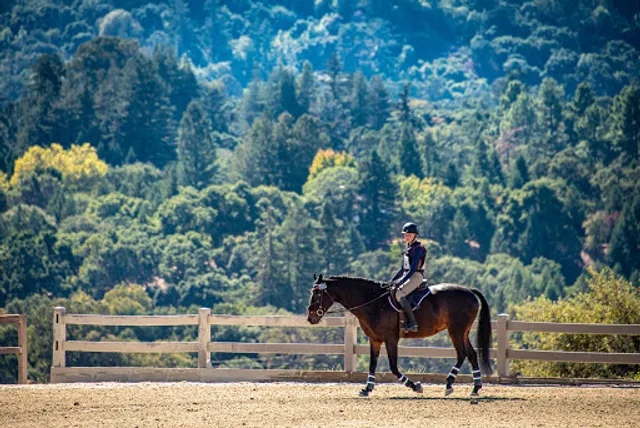 Horse Park at Woodside