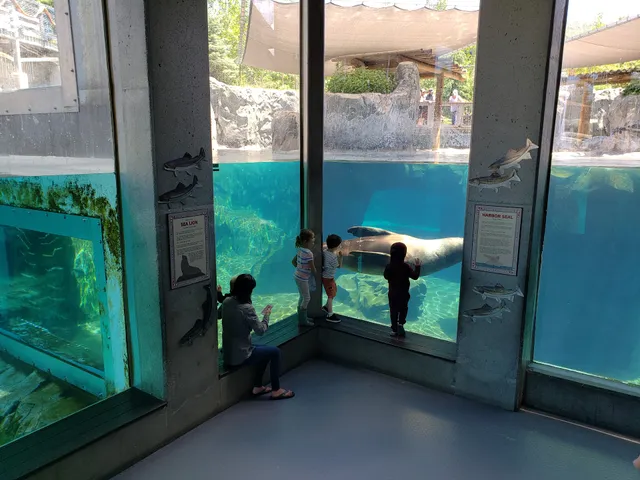 Rocky Shores at Hogle Zoo