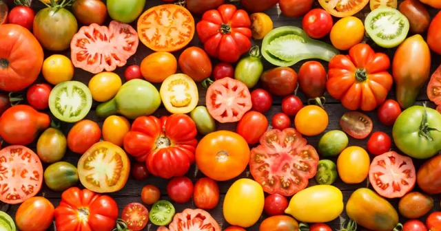 North Coast Catering