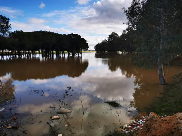 Mercadillo Sevilla Este