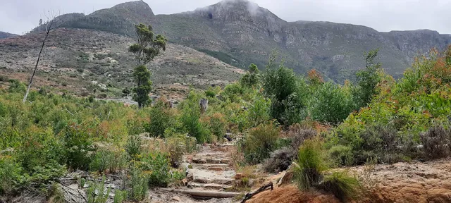 Tokai Plantation Office