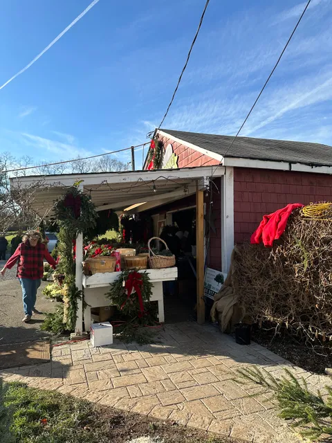 Country Gentleman Christmas Trees & Firewood