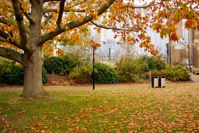 University of Kent, Canterbury Campus