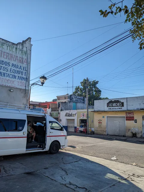 Transporte Colectivo (Chichen Itza Y Piste)
