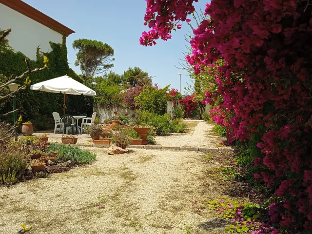 Villa Ondina CIN 111010C2000Q5073 Casa Vacanze Pet friendly