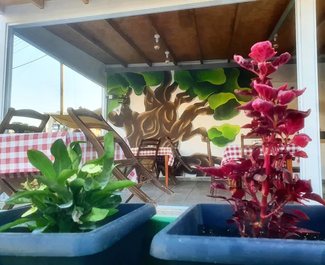 Μεζεδοπωλείο το σύκο