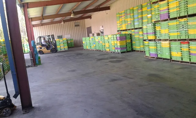 Alma Nursery & Berry Farms