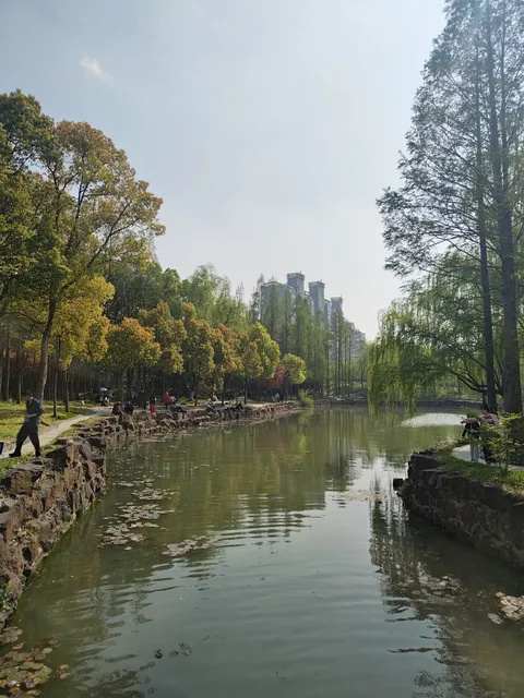 Shanghai Multimedia Valley