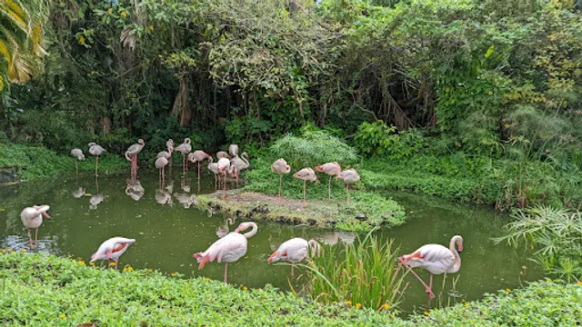 Taipei Zoo Formosan Animal Area