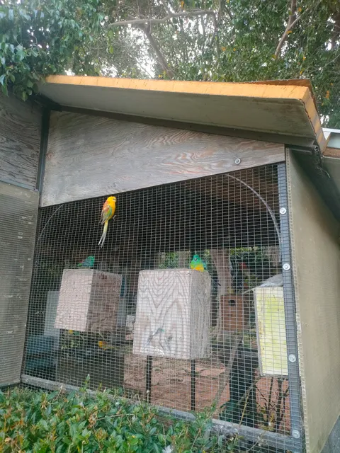 Officina Didattica - Holiday, Flower Design and Events