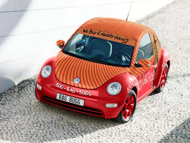 WE BUY RAGGEDY HOUSES Revelopers: The House Sellers 911